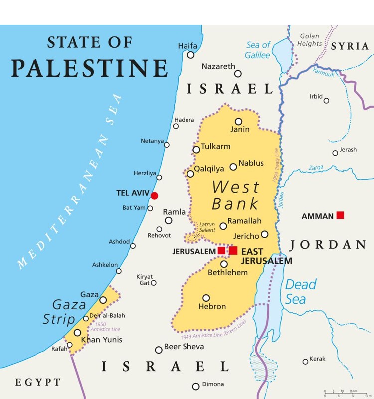 A detailed map of the State of Palestine including names of cities and territories. 